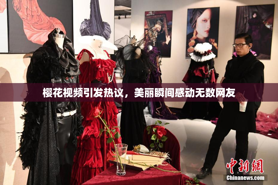 樱花视频引发热议，美丽瞬间感动无数网友