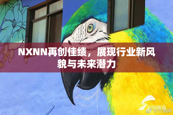 NXNN再创佳绩，展现行业新风貌与未来潜力