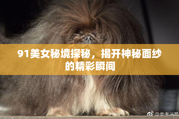 91美女秘境探秘，揭开神秘面纱的精彩瞬间