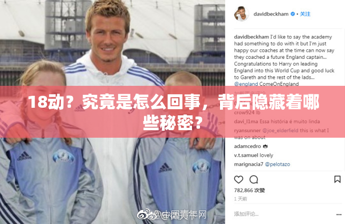 18动？究竟是怎么回事，背后隐藏着哪些秘密？