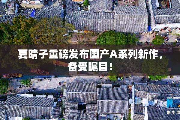 夏晴子重磅发布国产A系列新作，备受瞩目！
