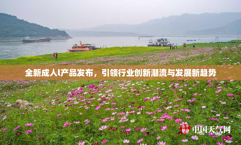 全新成人l产品发布，引领行业创新潮流与发展新趋势
