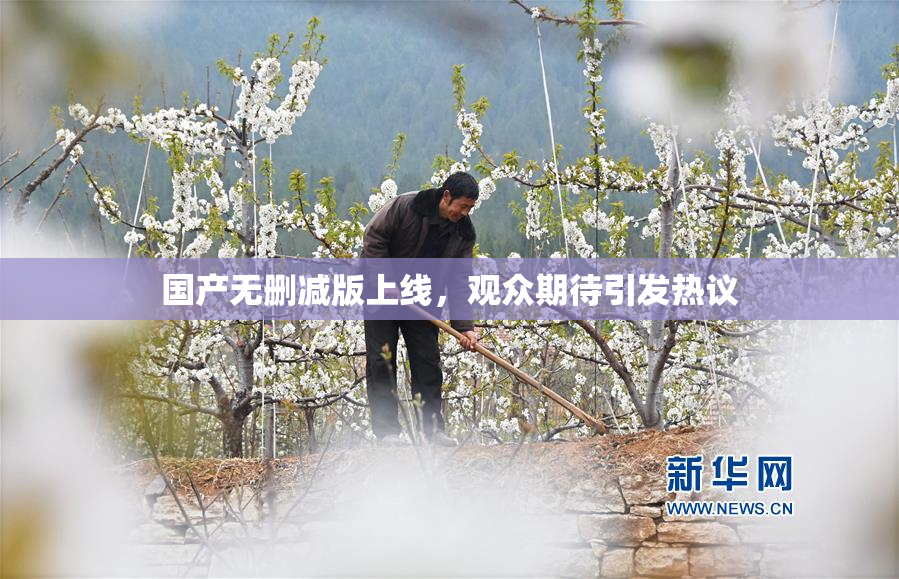 国产无删减版上线，观众期待引发热议