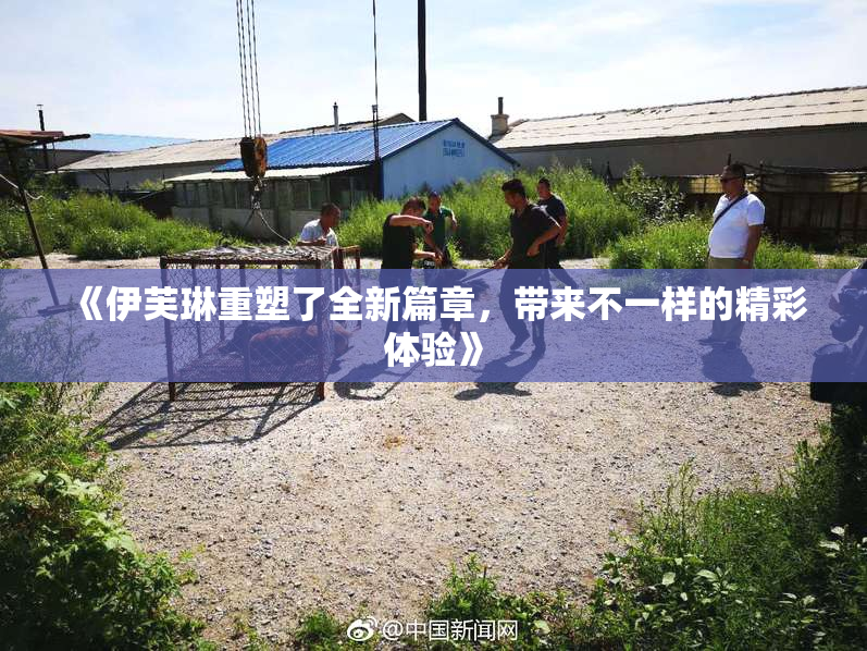 《伊芙琳重塑了全新篇章，带来不一样的精彩体验》