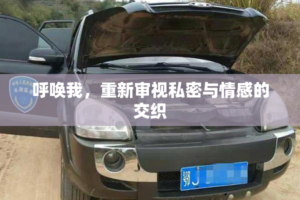 呼唤我，重新审视私密与情感的交织