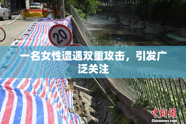 一名女性遭遇双重攻击，引发广泛关注