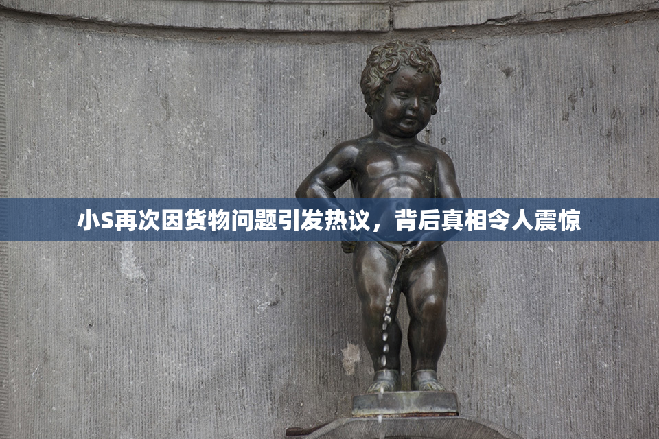 小S再次因货物问题引发热议，背后真相令人震惊