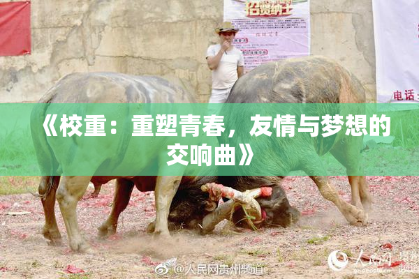 《校重：重塑青春，友情与梦想的交响曲》