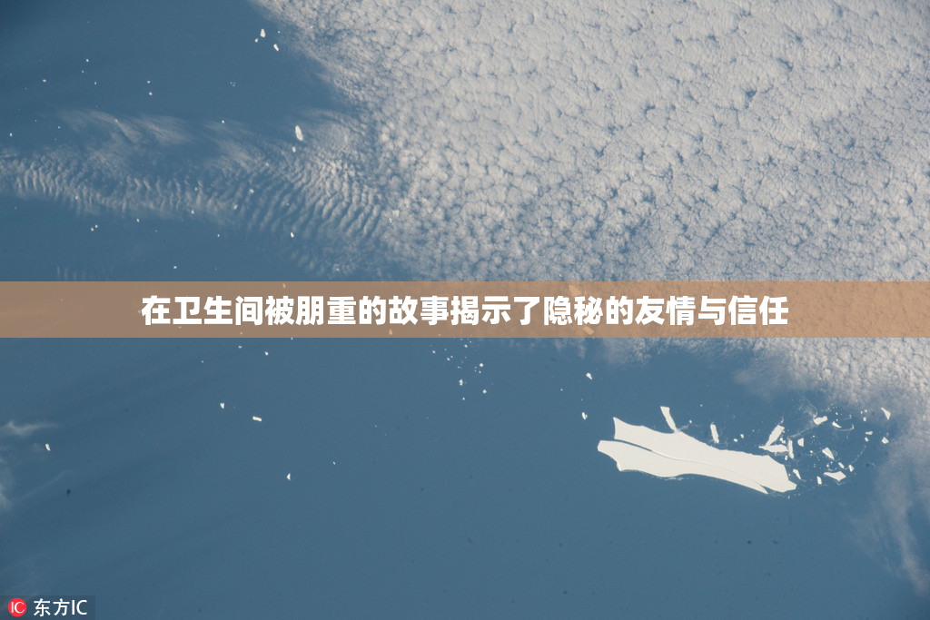 在卫生间被朋重的故事揭示了隐秘的友情与信任