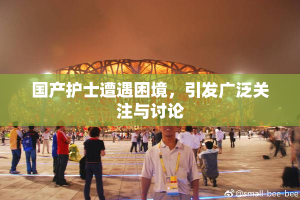 国产护士遭遇困境，引发广泛关注与讨论