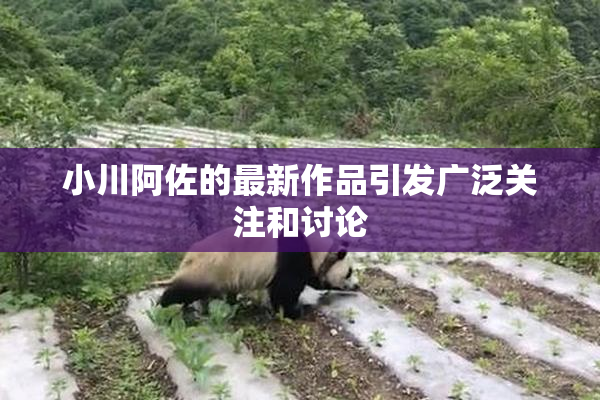 小川阿佐的最新作品引发广泛关注和讨论