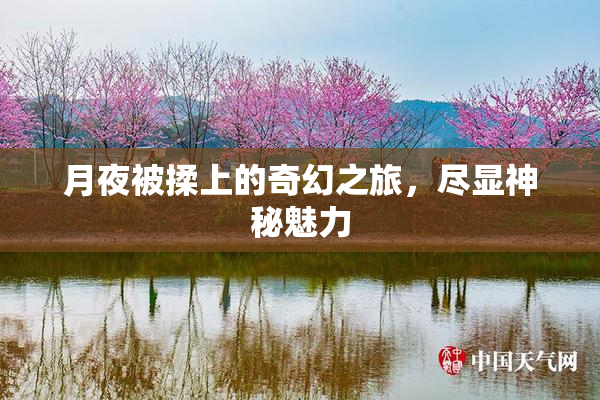 月夜被揉上的奇幻之旅，尽显神秘魅力