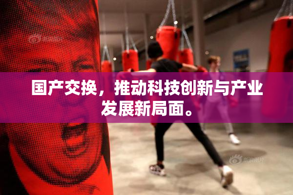 国产交换，推动科技创新与产业发展新局面。