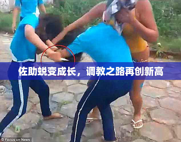 佐助蜕变成长，调教之路再创新高