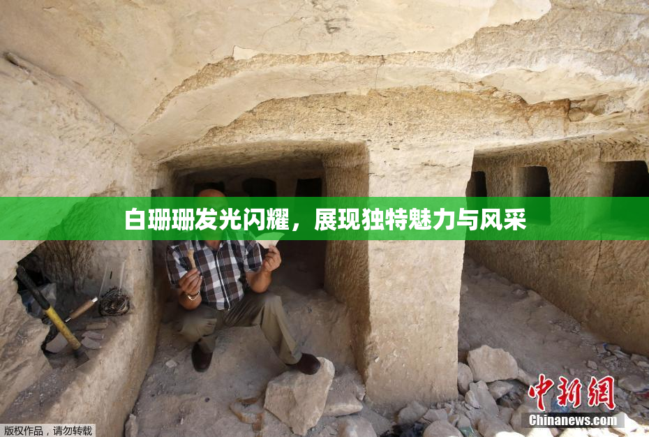白珊珊发光闪耀，展现独特魅力与风采