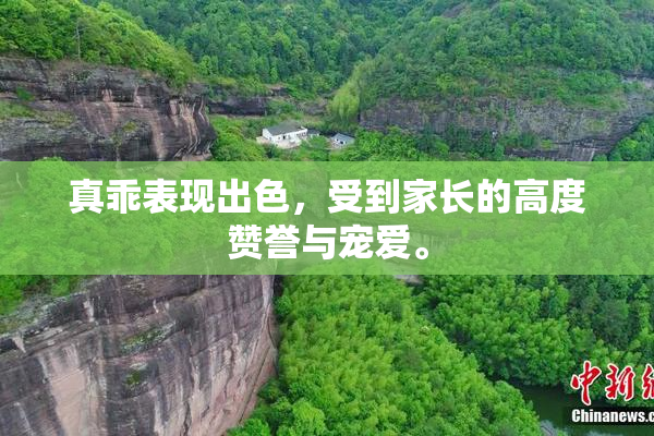 真乖表现出色，受到家长的高度赞誉与宠爱。