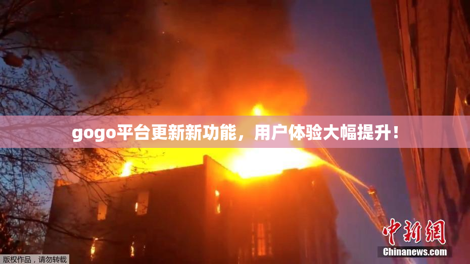 gogo平台更新新功能，用户体验大幅提升！