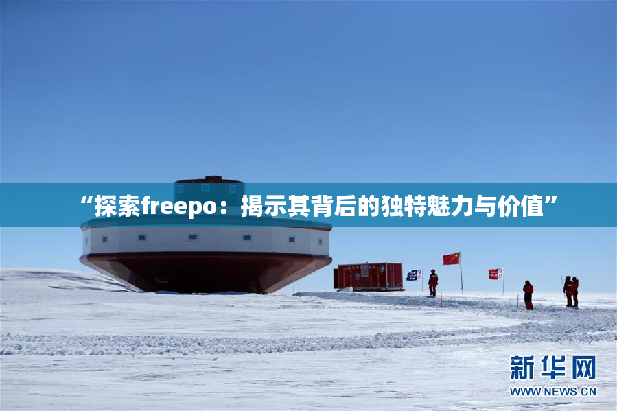 “探索freepo：揭示其背后的独特魅力与价值”