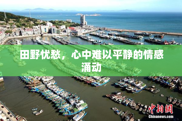 田野忧愁，心中难以平静的情感涌动