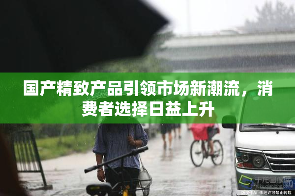 国产精致产品引领市场新潮流，消费者选择日益上升