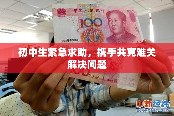 初中生紧急求助，携手共克难关解决问题