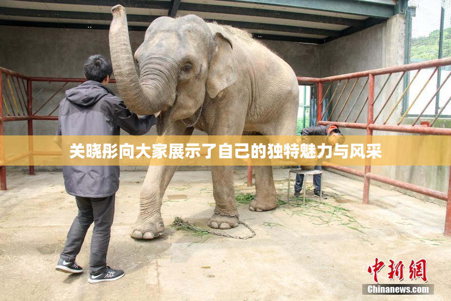 关晓彤向大家展示了自己的独特魅力与风采