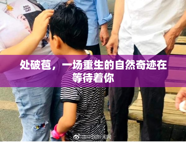 处破苞，一场重生的自然奇迹在等待着你