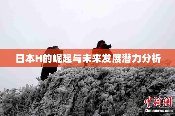 日本H的崛起与未来发展潜力分析