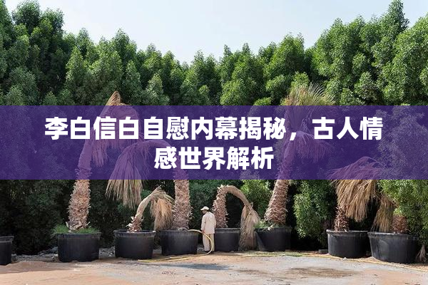 李白信白自慰内幕揭秘，古人情感世界解析