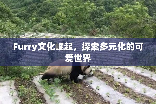 Furry文化崛起，探索多元化的可爱世界