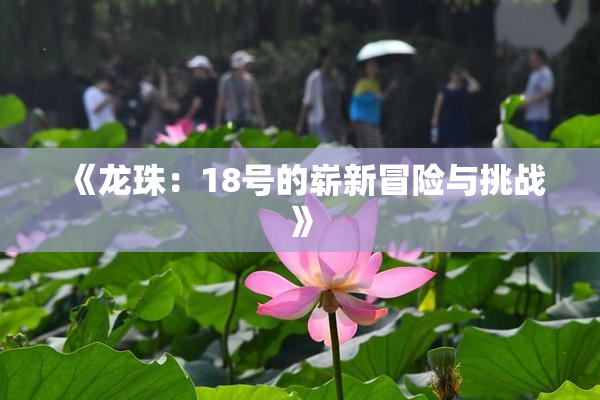 《龙珠：18号的崭新冒险与挑战》