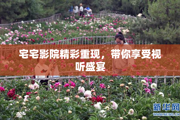 宅宅影院精彩重现，带你享受视听盛宴