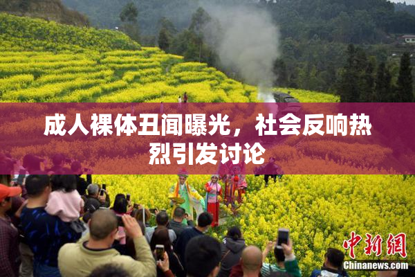 成人裸体丑闻曝光，社会反响热烈引发讨论