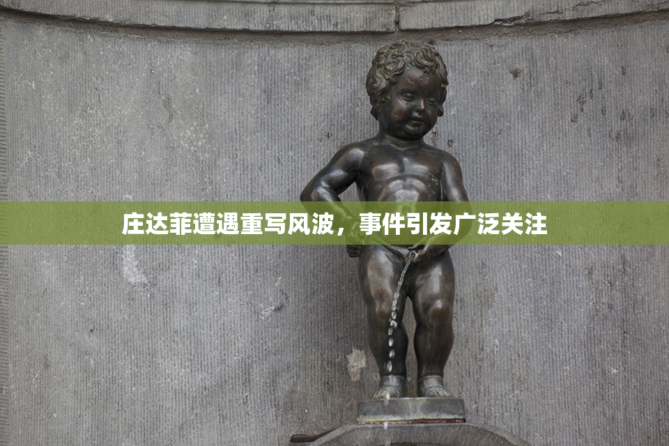 庄达菲遭遇重写风波，事件引发广泛关注