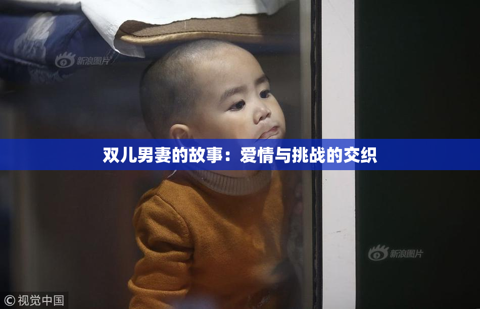 双儿男妻的故事：爱情与挑战的交织