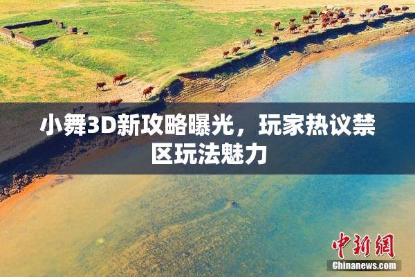 小舞3D新攻略曝光，玩家热议禁区玩法魅力