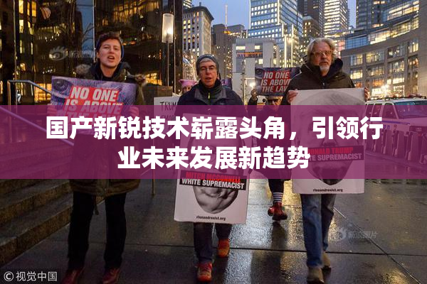 国产新锐技术崭露头角，引领行业未来发展新趋势