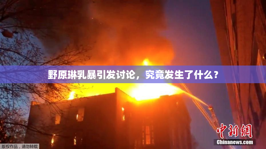 野原琳乳暴引发讨论，究竟发生了什么？