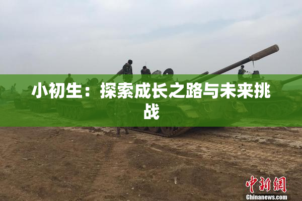 小初生：探索成长之路与未来挑战