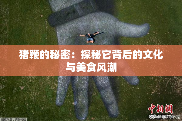 猪鞭的秘密：探秘它背后的文化与美食风潮