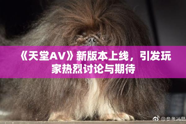 《天堂A∨》新版本上线，引发玩家热烈讨论与期待