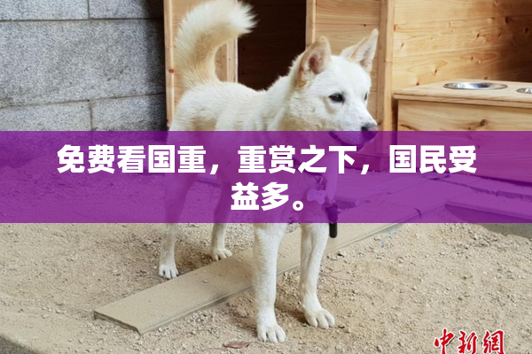 免费看国重，重赏之下，国民受益多。