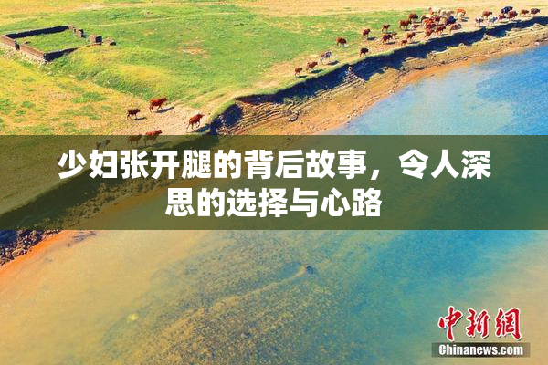 少妇张开腿的背后故事，令人深思的选择与心路