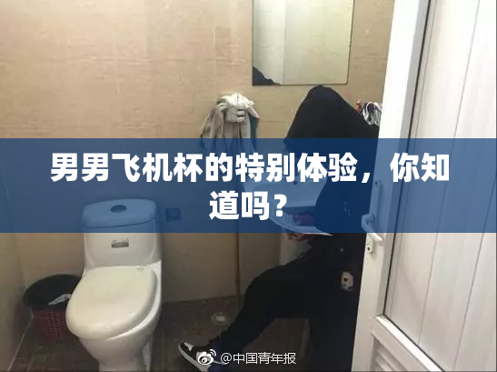男男飞机杯的特别体验，你知道吗？