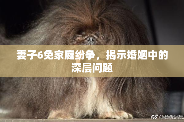 妻子6免家庭纷争，揭示婚姻中的深层问题