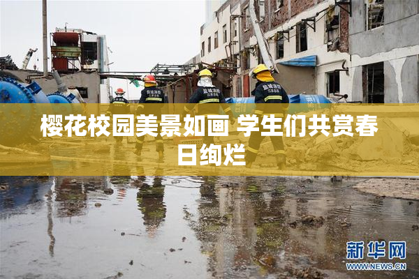 樱花校园美景如画 学生们共赏春日绚烂