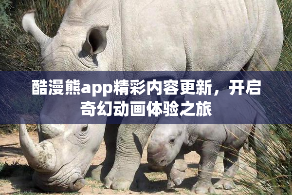酷漫熊app精彩内容更新，开启奇幻动画体验之旅