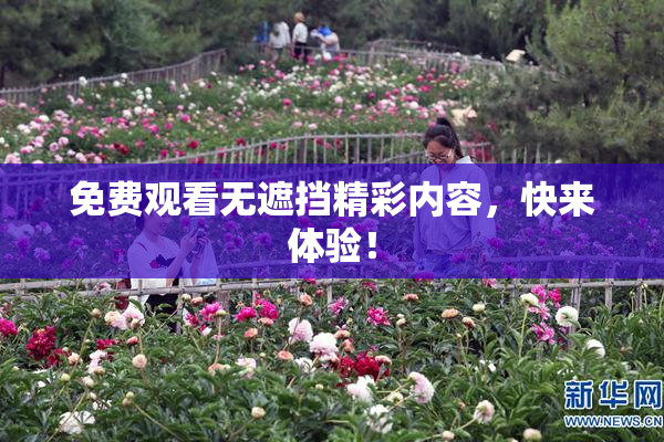 免费观看无遮挡精彩内容，快来体验！