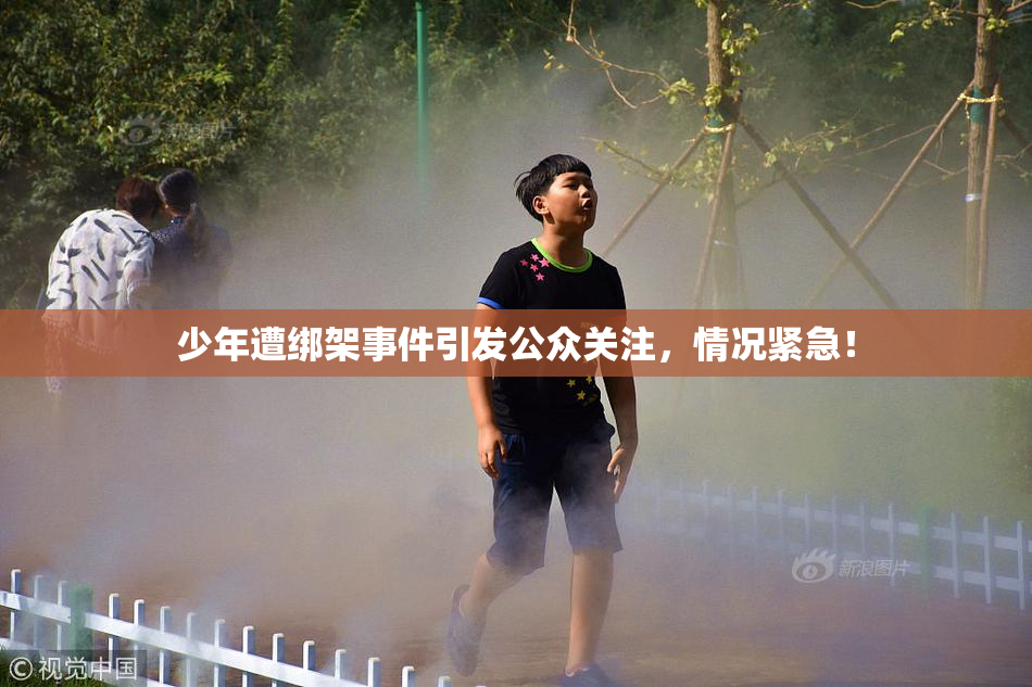少年遭绑架事件引发公众关注，情况紧急！