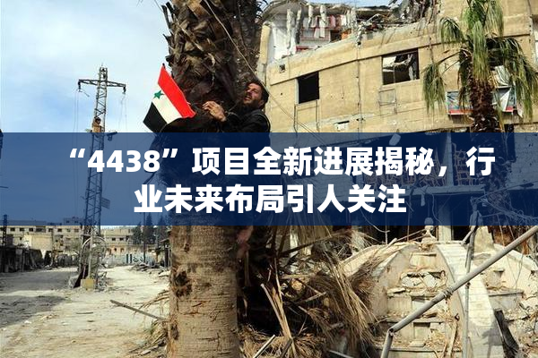 “4438”项目全新进展揭秘，行业未来布局引人关注